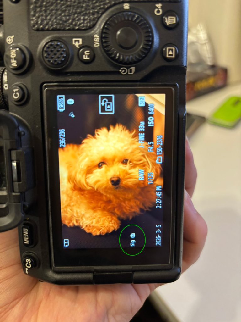 3/5、ついに「Sig cr」の文字が拝めた瞬間。感動で手が震えました。│On March 5th, I finally got to see the "Sig cr" logo. My hands were trembling with emotion.